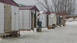 Download Lagu Smelt fishing making a comeback in Maine this winter MP3