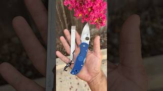 Selling my fixed blades, so this will be my only carry for a bit. Can’t be mad at it! #spyderco #edc