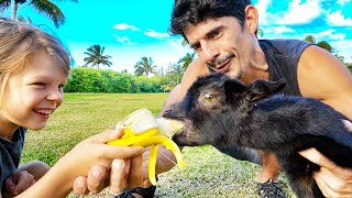 Feeding Our Orphan Baby Goat a Banana - Cute Baby Animals