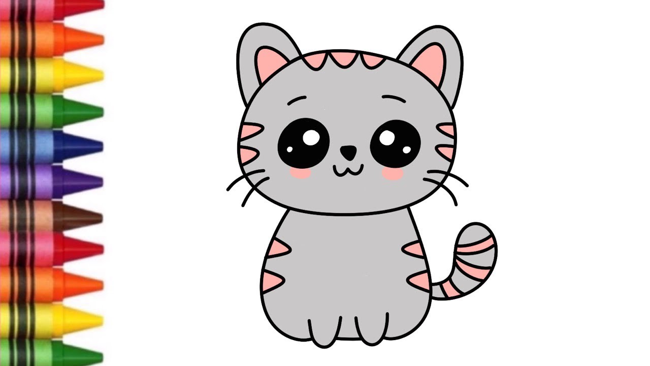 Cat Drawing | Cute Cat Drawing | Cat Drawing And Color | Cartoon Cat Drawing  - YouTube