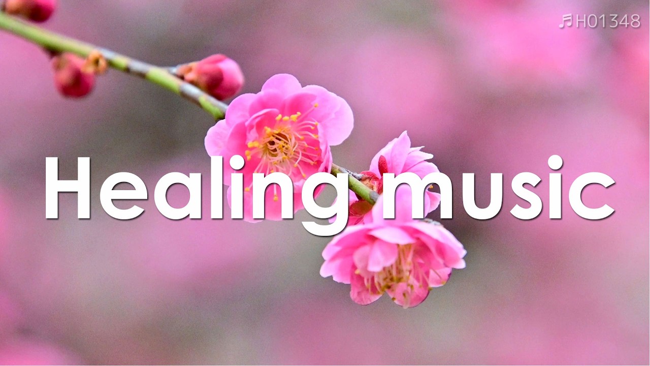 Утренняя Медитация с Цветами – 5 Минут для Успокоения Разума | Восстановительная Музыка | ♬H01348