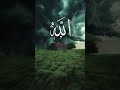 Quran Urdu translation surah #youtubeshosts #quranictranslation #motivation #history #duet #quotes