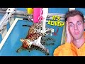 When HYDRODIPPING Goes Too Far! (Hydrodipped His Cat)