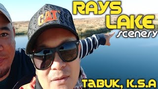 RAYS 'LAKE' SCENERY | Tabuk, K.S.A @behappywitholli1680