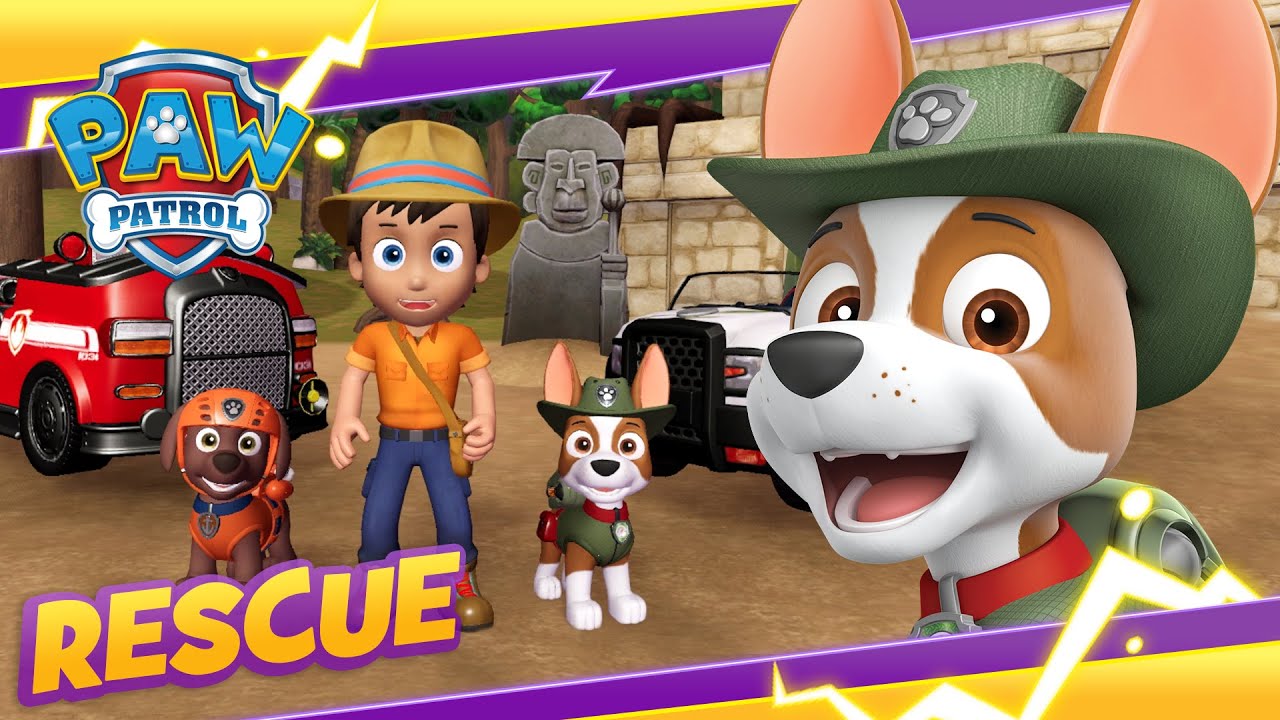 modstand sammensværgelse Almindeligt Tracker and Pups Save Carlos in the Jungle! | PAW Patrol | Cartoon and Game  Rescue Episode for Kids - YouTube