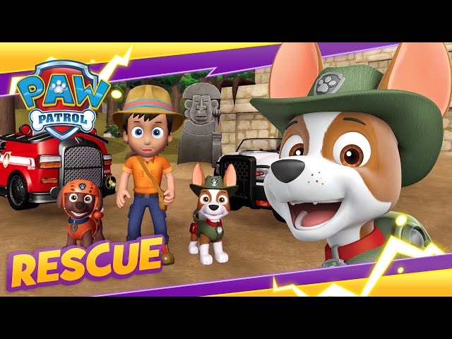 and Pups Save Carlos in the Jungle! | PAW Patrol | Cartoon and Game Rescue Episode for Kids - YouTube