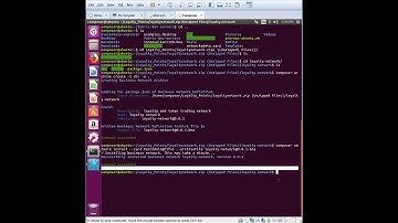 Loyalty Network demo on HyperLedger Fabric 1.1 - ernesto.net