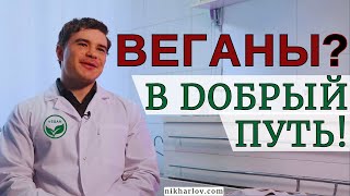 видео: Как перейти на вегетарианство, перестать есть мясо. Что едят вместо мяса. Международный день вегана. картинка: Как перейти на вегетарианство, перестать есть мясо. Что едят вместо мяса. Международный день вегана.