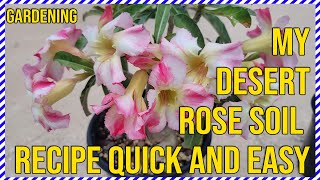 Easy Desert Rose Soil Recipe