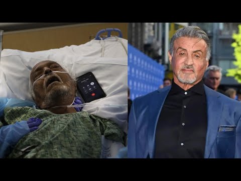 Video: Sylvester Stallone Čistá hodnota