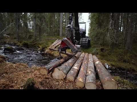 Video: Hur bygger man en bro över ett dike?