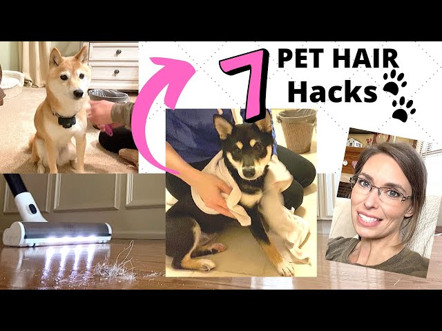 7 HACKS FOR REMOVING/REDUCING PET HAIR FROM YOUR HOME 