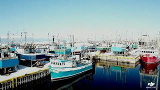 Musgrave Harbour, Newfoundland and Labrador
