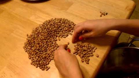 Sorting Pinto Beans for canning  Part 1