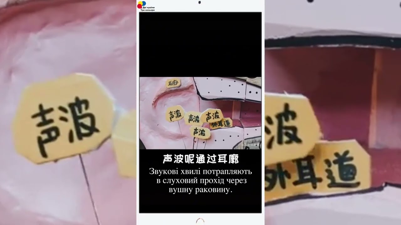 YouTube player