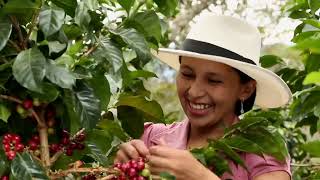 Santa Bárbara, Antioquia: tremendo café, gente, café e innovación. Las Aventuras del Profesor Yarumo