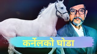 Karnelko Ghoda- कर्नेलको घोडा ||बिपी कोइराला-BP Koirala||प्रसिद्द कथा