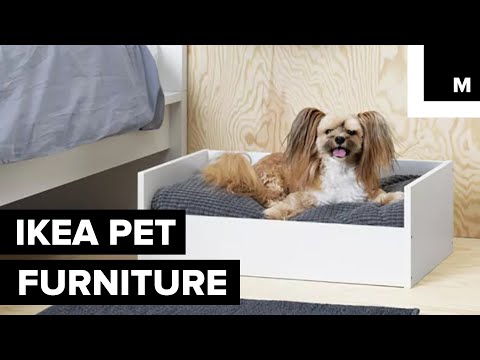 IKEA pet furniture