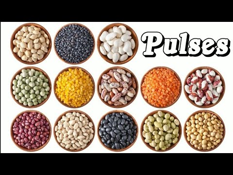 Pulses name | Pulses in english and legumes in hindi | Pulses name hindi | दालों की 