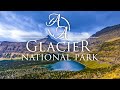 Face to face with a grizzly at the top of a mountain backpacking glacier national park  4k