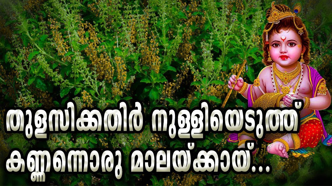    Thulasikathir Nulliyeduthu Female  Sree Krishna Devotioanal Songs