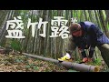 在日本竹林中露營是什麼感覺？！竹筍現挖現吃真是太爽啦《阿倫趣露營》