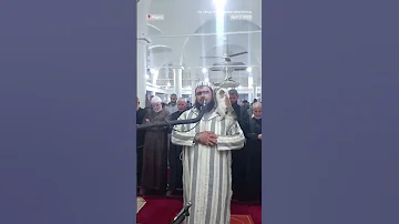 Cat Climbs Sheikh During Ramadan Prayer 