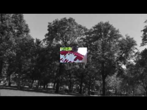 5D Fundamentals Project 2