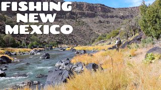 Gorgeous desert river filled with trophy trout | No one would expect this here