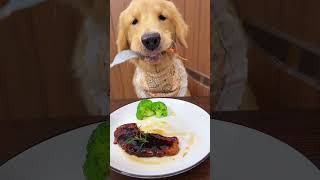 Dog Eating Asmr 19