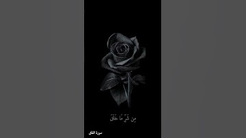 راحه نفسيه🖤🔥|مقاطع قرآن قصيره| استوريات انستا قرآن | تلاوه خاشعه |ستوريات قرآن الفلق