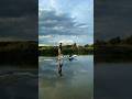 Surfing the canal on paddleboard watersports wakesurfing paddleboarding lakelife wakeboard