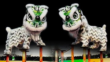 Múa Lân nhảy Mai Hoa Thung Hay Nhất / LSR Kiến Nghĩa liên hoan Lân Sư Rồng Lai Vung Đồng Tháp 2025