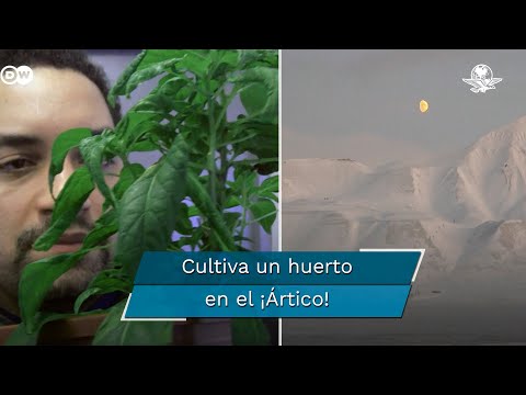 Vídeo: Los Científicos Han Descubierto El Misterio De Las Cataratas De Sangre En La Antártida - Vista Alternativa