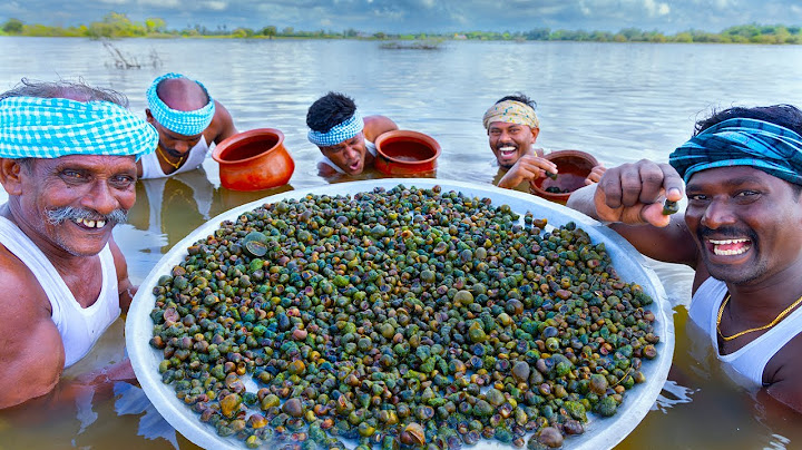 TINY SNAIL | Oomachi | Snail Hunting Cleaning Cooking and Eating in South Indian Village