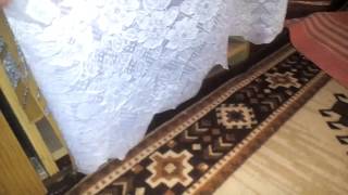 котенок сам скучает за другом котенок сам скучает за другом