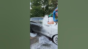 How To Get The Stuck On Bugs Off!