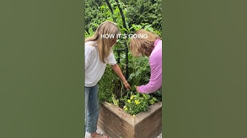 You could do this too! The garden business is ready for you 🪴 #garden #smallbusiness #sidehustle