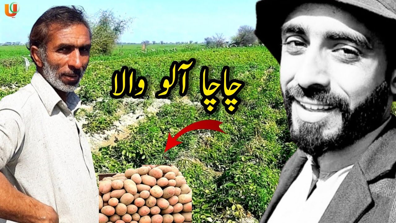 Chacha Aalu Wala Pakistani Dehati Village Vlog Umar Official U O - YouTube