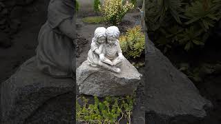 #хвойные#сад #garden #дача #природа #творчество