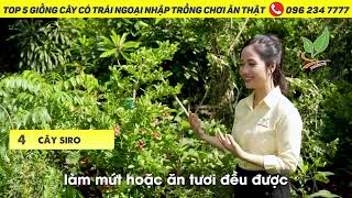 Top 5 giống cây có trái ngoại nhập trồng chơi ăn thật | Giá từ vài trăm ngàn | 096 234 7777