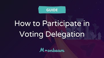 How to Participate in Voting Delegation