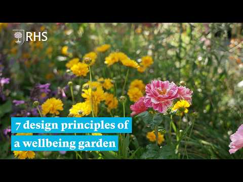 How to create a wellbeing garden | The RHS