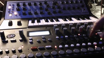 Elektron Analog Four meets Moog Sub Phatty part2