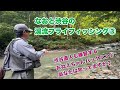 なおと渋谷の渓流フライフィッシング③【渋谷直人の華麗なアブ取り網捌き! 後半に有料級の解説も有るよ】