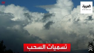 تقويم | تزامنا مع موسم هطول الأمطار في بعض الدول العربية.. ما هي تسميات السحب؟