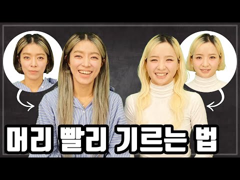 머리 빨리 기르는 법 7가지 돈 쓰지 마세요 