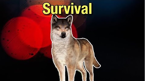 Wolf Game The Wild Kingdom Beta Testing Part 6 (iOS device)