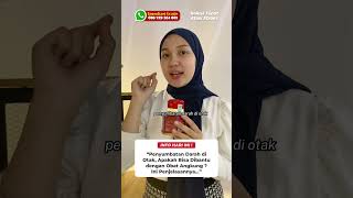 Cara Mengatasi Stroke Ringan Secara Herbal dengan Angkung Cina