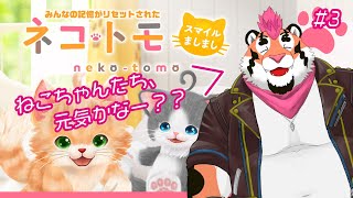 【ネコトモスマイルましまし】みんなの記憶が消えたネコトモ#3【DNG総長】